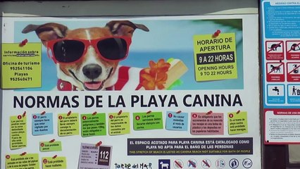 Así es la ducha para perros en la playa  "El Mortero" de Torre del Mar