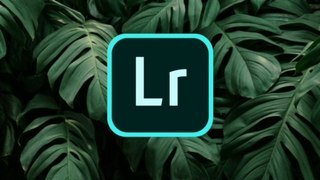 lightroom cc best colour grading tutorial in mobile and also snapseed best tools editing || xoxrobin