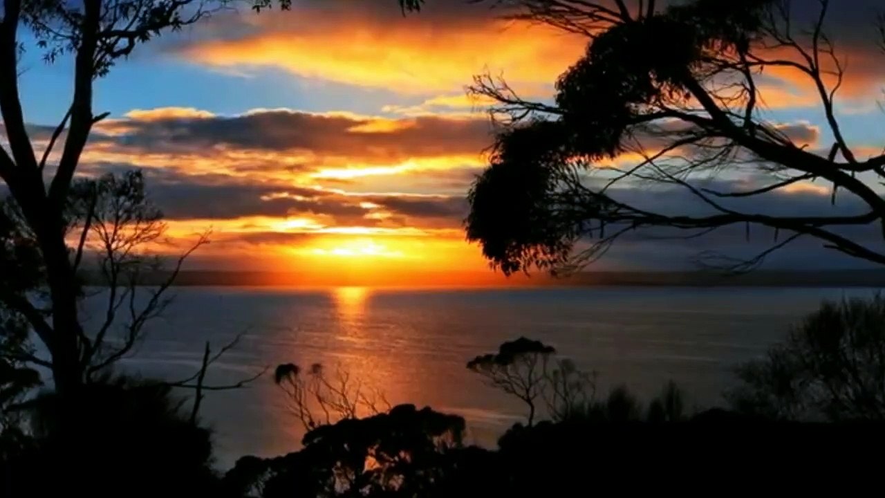 حميد الشاعري  مرات