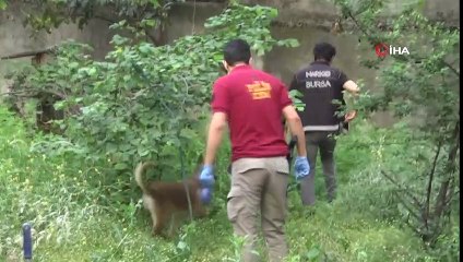 Bursa'da bin polisle yapılan uyuşturucu baskını: 18 gözaltı
