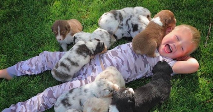 Ces chiots et cet enfant forment un duo adorable !