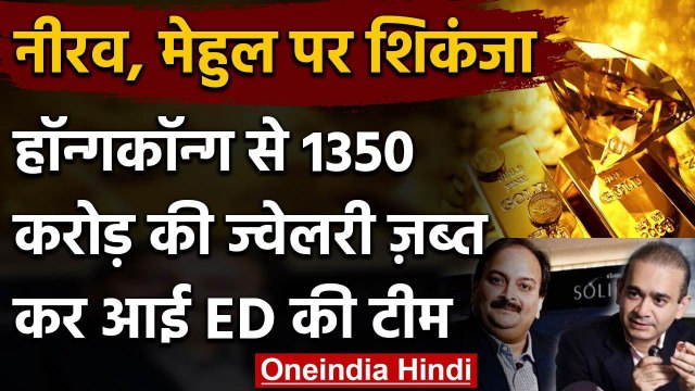 Nirav Modi, Mehul Choksi को झटका, 1350 करोड़ के हीरे-जवाहरात Hong Kong से लाई ED | वनइंडिया हिंदी