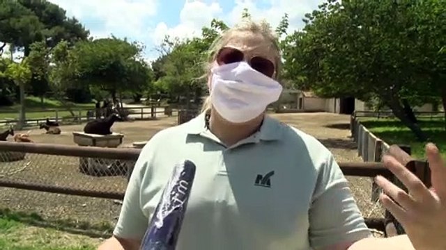 Martigues : au parc de Figuerolles, la ferme pédagogique sur « rendez-vous »