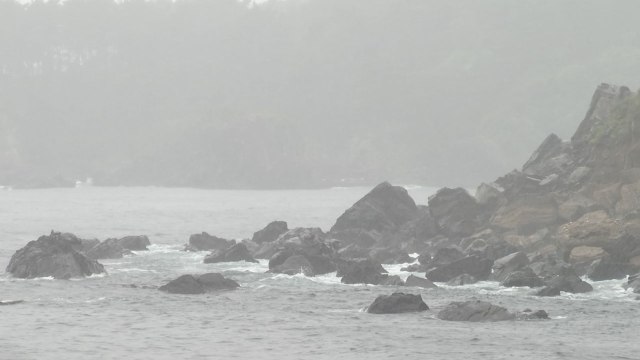 [날씨] 제주도 장마 시작, 최고 100mm...내륙 낮 더위 계속 / YTN