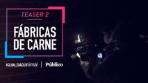 TEASER 2 | 'Fábricas de Carne', un reportaje de Igualdad Animal y 'Público'