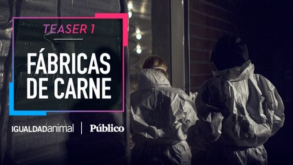 Download Video: TEASER 1 | 'Fábricas de Carne', un reportaje de Igualdad Animal y 'Público'