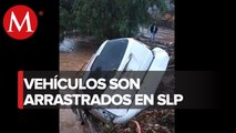 En SLP, desborde de presa en Zaragoza arrastra a 20 vehículos