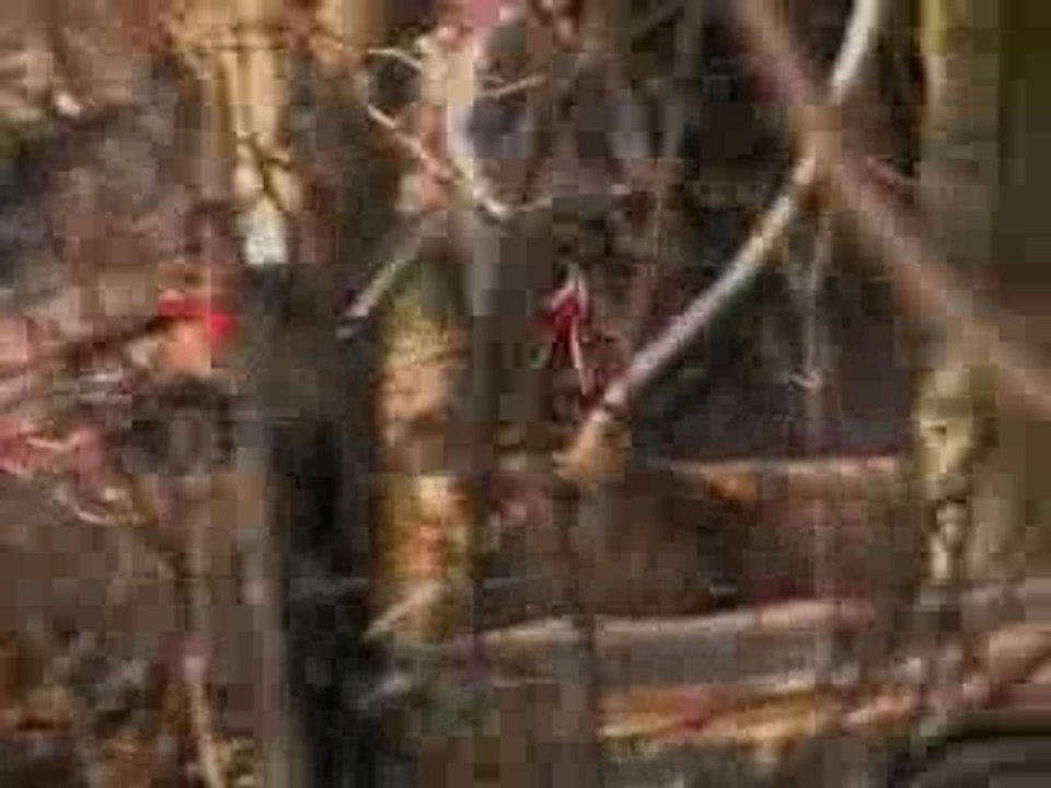 Session dirt débutants