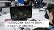 Céline Dion, e-sport et abeilles ... Cinq infos bretonnes du 10 juin