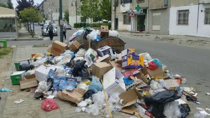 Descargar video: Arrestohet, hodhi plehrat në rrugë/ Durrës, Administratori i kompanisë akuzohet për ndotje mjedisi