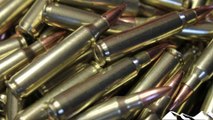Best hunting rifle ammunition 2020