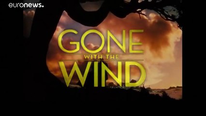 "Via col vento" bollato di razzismo va fuori catalogo