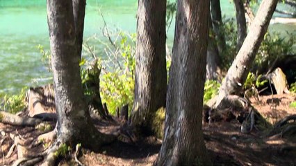 10 juin-PG-Farm Lake Saint-Alphonse