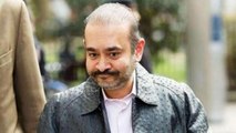 ED brings back Rs 1,350 crore worth diamonds, pearls of Nirav Modi, Mehul Choksi from Hong Kong