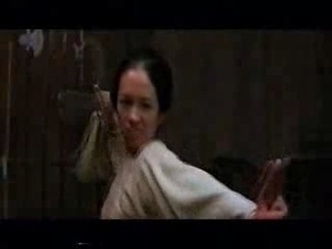 Ziyi Zhang vs. Michelle Yeoh Tigre & Dragon