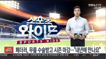 페더러, 무릎 수술받고 시즌 마감…"내년에 만나요"