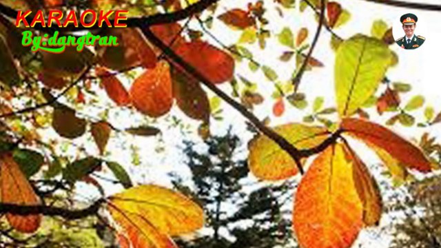 Karaoke- Em ơi Hà Nội Phố- Tone Nữ- dangtran- nhạc trữ tình