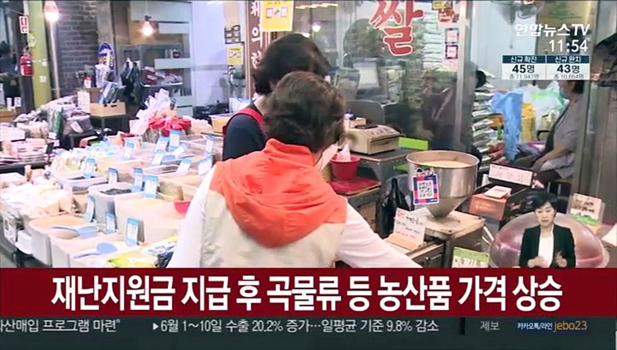 재난지원금 지급 후 곡물류 등 농산품 가격 상승