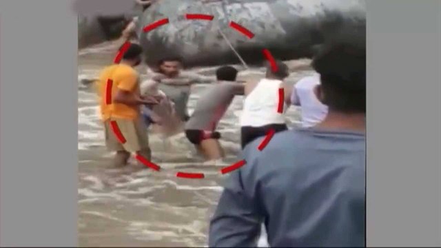 Watch: Villagers rescue 4 children stuck in flood water