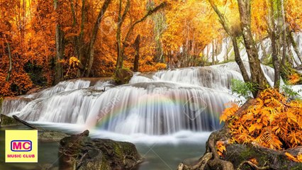 Relaxing piano music with beautiful nature | শিথিল পিয়ানো সঙ্গীত | 2020 | *Special* 09