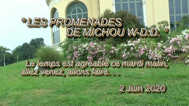 LES PROMENADES DE MICHOU64 W-D.D. - 2 JUIN 2020 - PAU - UN PETIT TOUR DU PARC BEAUMONT AU BOULEVARD DES PYRÉNÉES
