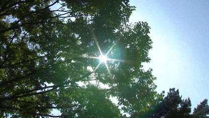 [날씨] 내일도 낮더위 계속...밤부터 남부 비 / YTN