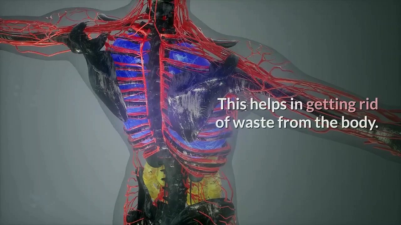 5 Amazing Health Benefits Of Drinking Water on an Empty Stomach in the Morning