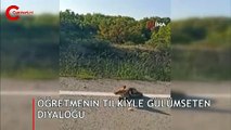 Öğretmenin tilkiyle gülümseten diyaloğu