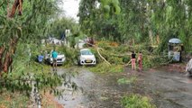 Roads Blocked after Rainfall in Delhi-NCR, Watch video