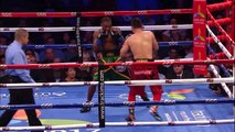 NONITO DONAIRE VS NICHOLAS WALTERS FIGHT HIGHLIGHTS