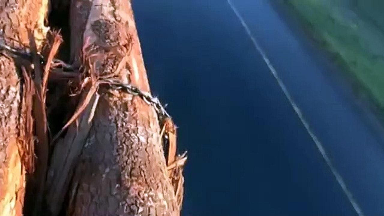 Final Destination 2 Trailer 2 (Premonition)