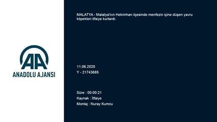 Menfeze düşen yavru köpekler kurtarıldı - MALATYA