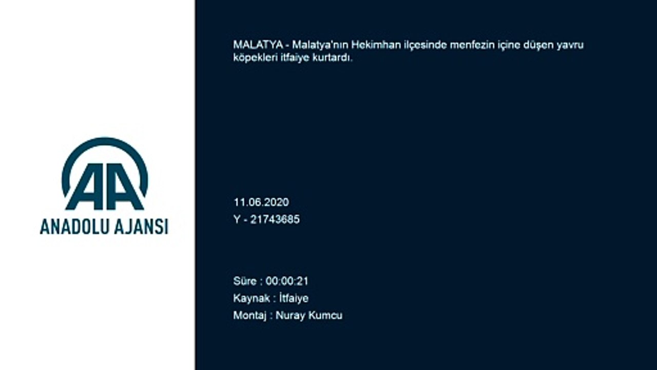 Menfeze düşen yavru köpekler kurtarıldı - MALATYA