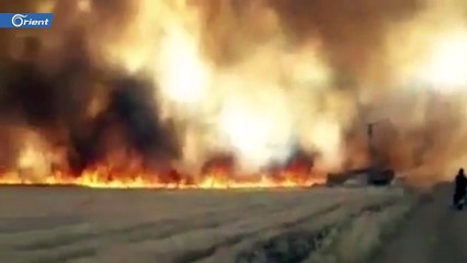 حريق ضخم يلتهم آلاف الدونمات غرب رأس العين شمال الحسكة