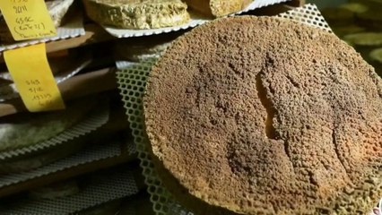 Terroir - Cuisine en circuit court