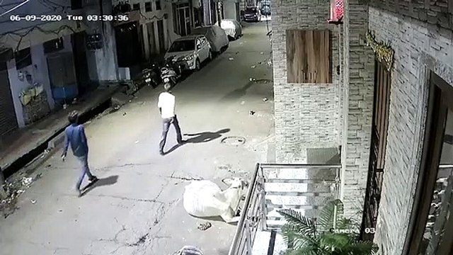 वाहन चोरों के हौसले बुलंद, सीसीटीवी में कैद हुई वारदात