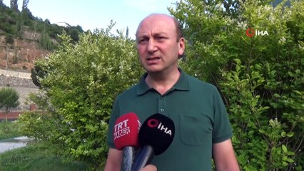 Ters laleler Artvin'in yüksek yaylarını süslüyor