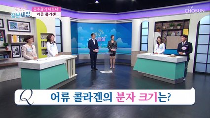 ❛육류 vs 어류 ❜ 콜라겐 우리 몸 『흡수율』 승자는?