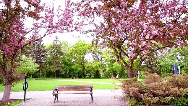 Tum Hi Aana | Jubin Nautiyal | Marjaavaan | Cover by Nandini