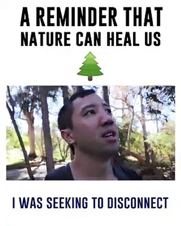 what is forest bathing?