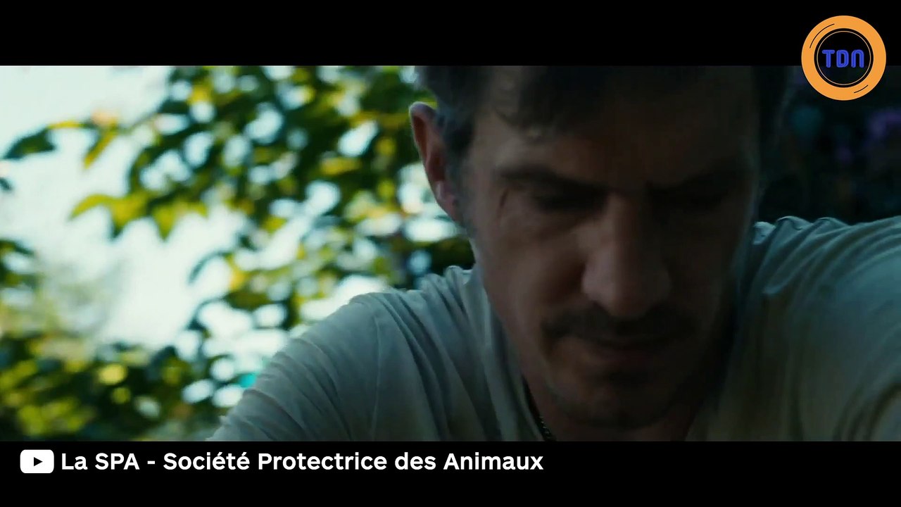 la SPA lance une campagne choc contre l'abandon d'animaux !