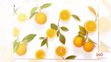 7pa5 - Çelesi i copezave te lumturise – 11 Qershor 2020 – Vizion Plus