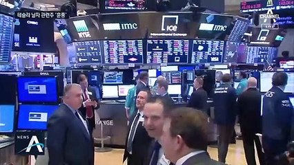 ‘천슬라’ 된 테슬라…LG화학 등 배터리주 날개 달았다