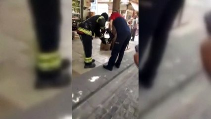 Kent merkezindeki yılanı itfaiye ekipleri yakaladı - DENİZLİ