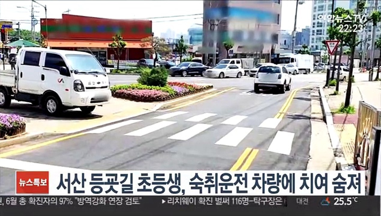 서산 등굣길 초등생, 숙취운전 차량에 치여 숨져