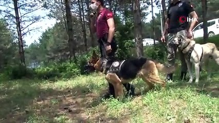 Orman yangınlarına yeni önlem: Doğa Devriyesi