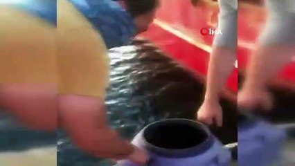 Avlanması yasak olan deniz patlıcanlarını avlarken yakalandılar