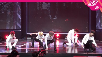 투모로우바이투게더 직캠 동물원을 빠져나온 퓨마(PUMA)_200611