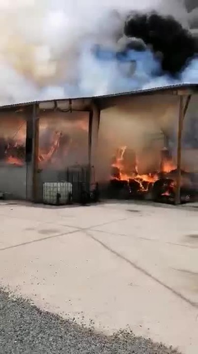 Profondeville: un feu ravage l'écurie de Lesves, les chevaux ont pu être sauvés