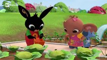 Bing Bing episodio 59 in italiano Bing Bunny - Patate - Episodi Nuovi HD